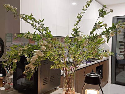 Sunshine City Project, Vietnam Sunshine City Project, Vietnam