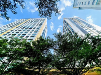 Of The Sun, Vietnam Of The Sun, Vietnam