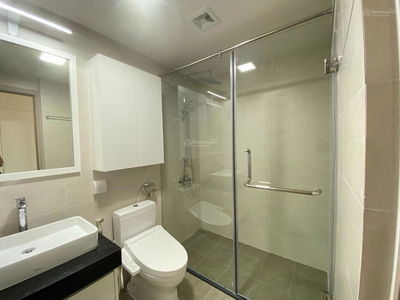 Iris Garden, Vietnam Iris Garden, Vietnam