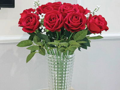 Vinhomes Smart City Project, Vietnam Vinhomes Smart City Project, Vietnam