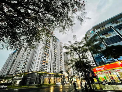 Lovera Vista, Vietnam Lovera Vista, Vietnam