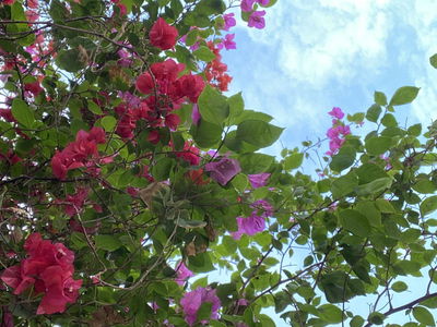 Duong Noi New Urban Area Project, Vietnam Duong Noi New Urban Area Project, Vietnam