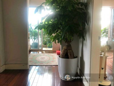 Golden Westlake Project, Vietnam Golden Westlake Project, Vietnam