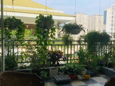 262, Vietnam 262, Vietnam