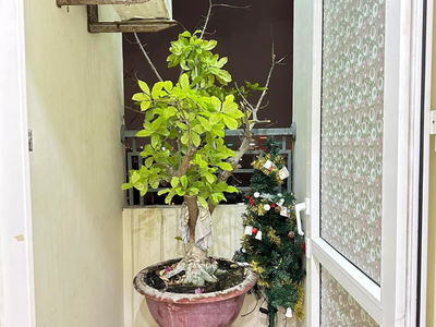 Nam Do Complex, Vietnam Nam Do Complex, Vietnam