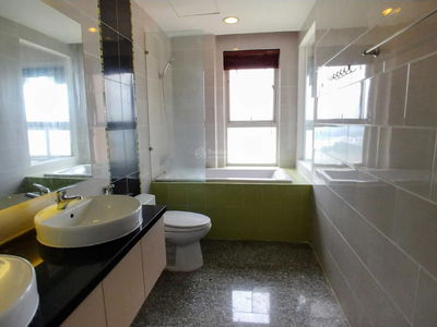 Dragon City, Vietnam Dragon City, Vietnam