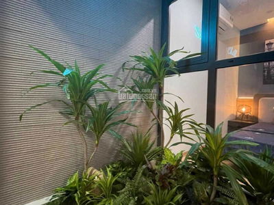 Dreamland Bonanza, Vietnam Dreamland Bonanza, Vietnam