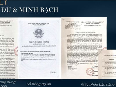 Capital Elite Project, Vietnam Capital Elite Project, Vietnam