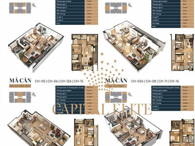 Capital Elite Project, Vietnam Capital Elite Project, Vietnam