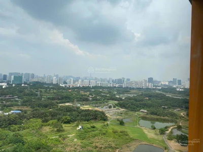 Dragon City, Vietnam Dragon City, Vietnam