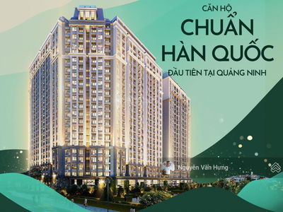 The Dragon Castle Project, Vietnam  The Dragon Castle Project, Vietnam