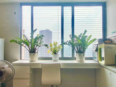 Momota Nguyen Duc Canh, Vietnam Momota Nguyen Duc Canh, Vietnam