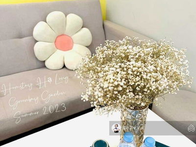 Green Bay Garden Project, Vietnam  Green Bay Garden Project, Vietnam