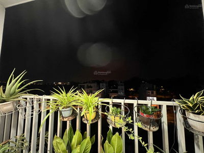 Orchid Park, Vietnam Orchid Park, Vietnam