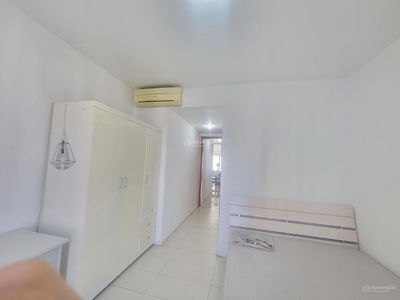 The Canary Project, Vietnam The Canary Project, Vietnam