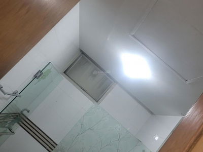 The Canary Project, Vietnam The Canary Project, Vietnam