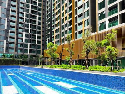 Of The Sun, Vietnam Of The Sun, Vietnam