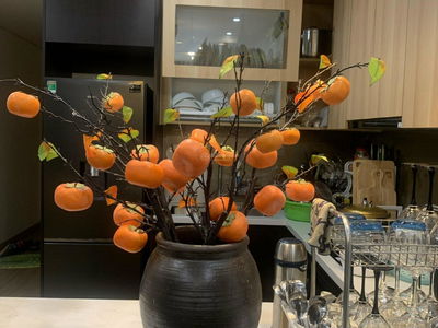 Eurowindow Multi Complex Project, Vietnam Eurowindow Multi Complex Project, Vietnam