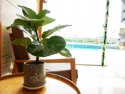 Midori Park The View Project, Vietnam Midori Park The View Project, Vietnam