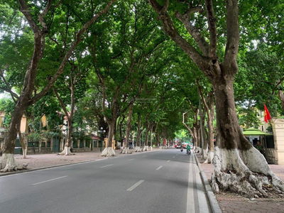 Ly Nam De Street, Vietnam Ly Nam De Street, Vietnam