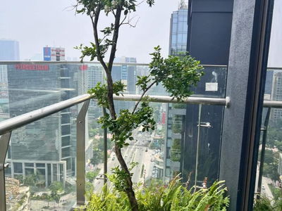 93 Lang Ha, Vietnam 93 Lang Ha, Vietnam