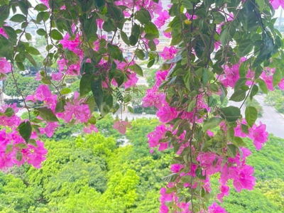 Duong Noi New Urban Area Project, Vietnam Duong Noi New Urban Area Project, Vietnam