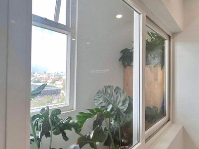 Saigon Mia, Vietnam Saigon Mia, Vietnam