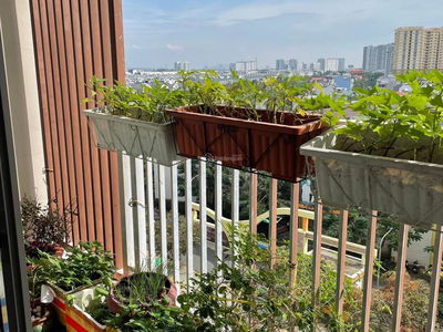 PARCSpring, Vietnam PARCSpring, Vietnam