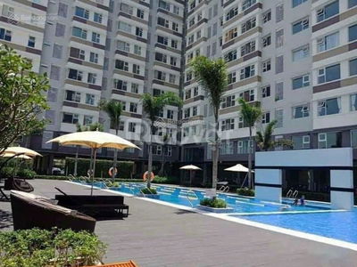 Flora Cherry, Vietnam Flora Cherry, Vietnam