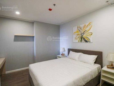 The Artemis Project, Vietnam The Artemis Project, Vietnam