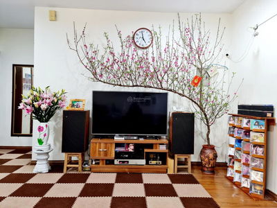 173 Xuan Thuy, Vietnam 173 Xuan Thuy, Vietnam