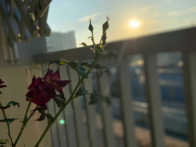 Thuan Giao Ward, Vietnam Thuan Giao Ward, Vietnam