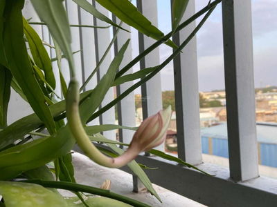 Thuan Giao Ward, Vietnam Thuan Giao Ward, Vietnam