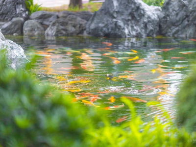 The Origami - Vinhomes Grand Park, Vietnam The Origami - Vinhomes Grand Park, Vietnam