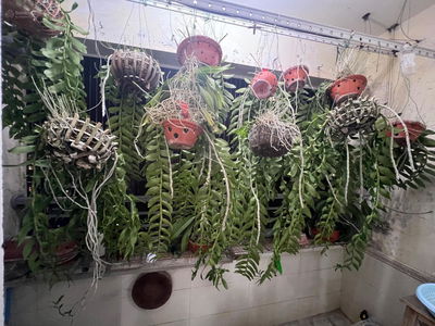 Truong Dinh Complex Project, Vietnam Truong Dinh Complex Project, Vietnam