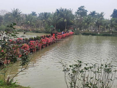 Swan Lake Onsen Project, Vietnam Swan Lake Onsen Project, Vietnam