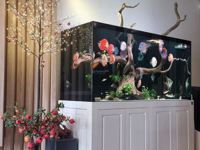 Times Tower - HACC1 Complex Building Project, Vietnam Times Tower - HACC1 Complex Building Project, Vietnam