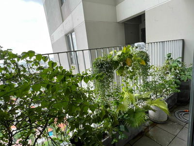 Masteri Thao Dien, Vietnam Masteri Thao Dien, Vietnam