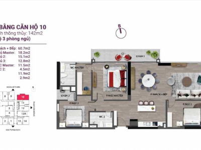 The Nine, Vietnam The Nine, Vietnam