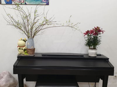 Him Lam Nam Khanh Him Lam Nam Khanh