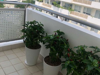 Grand View, Vietnam Grand View, Vietnam