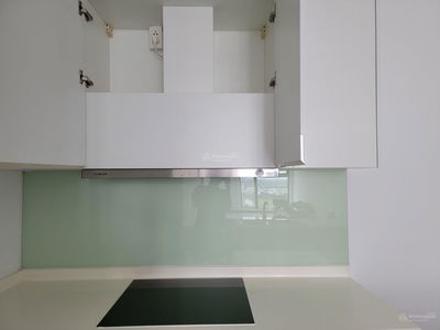 Calla Garden, Vietnam Calla Garden, Vietnam