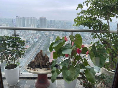 Gold Tower, Vietnam  Gold Tower, Vietnam