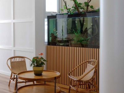 Him Lam Phu Dong, Vietnam Him Lam Phu Dong, Vietnam