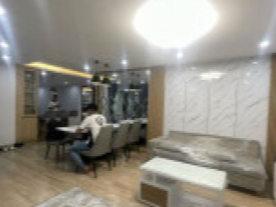 Dic Phoenix Project, Vietnam  Dic Phoenix Project, Vietnam