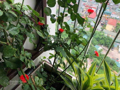 789 General Staff - Ministry of National Defense, Vietnam 789 General Staff - Ministry of National Defense, Vietnam