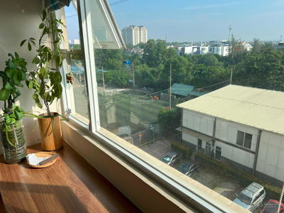 Flora Cherry, Vietnam Flora Cherry, Vietnam