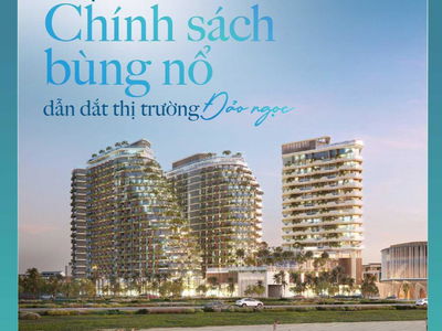 Meyhomes Capital Project, Vietnam  Meyhomes Capital Project, Vietnam
