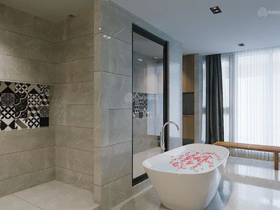 PentStudio, Vietnam PentStudio, Vietnam