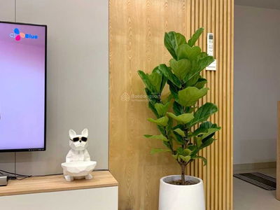 The Sun Avenue, Vietnam The Sun Avenue, Vietnam